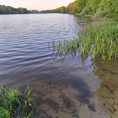Lake&city - Komfortowe Blisko Majaland, Jeziora, Lasu Oraz Serca Trojmiasta Gdansk